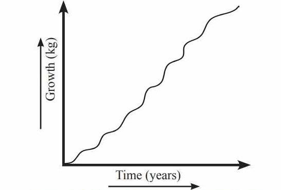 Growth curve of perennial plants shown as a cumulative series of sigmoid curves