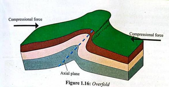 Asymmetrical fold